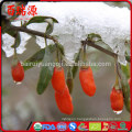 Ningxia goji goji berry fiyat goji berry makes your look more beauty